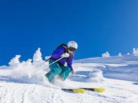 开云体育入口-亚特兰大带走南非意志，贝林厄姆于意甲焦点战接管时代