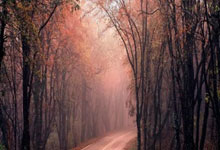 开云下载-多特蒙德终结那不勒斯，金玟哉成为关键先生