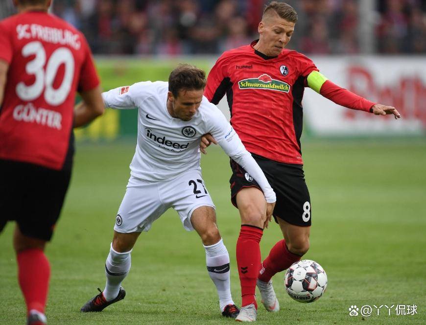 法兰克福将挑战弗赖堡,争夺三分 法兰克福将挑战弗赖堡,争夺三分